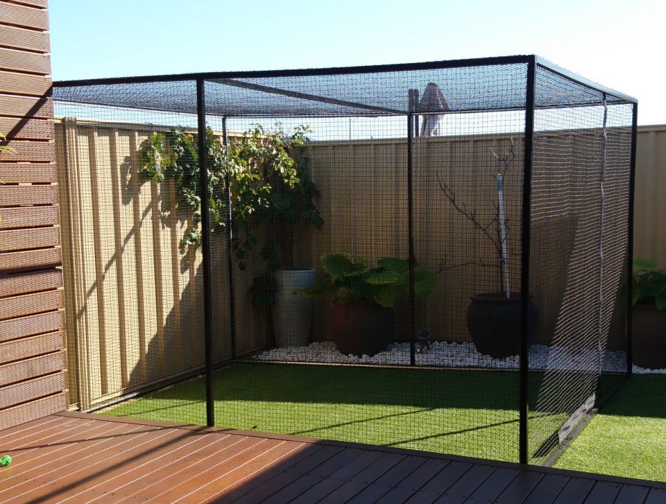 Free Standing Cat Enclosures Archives Cat Enclosures Perth