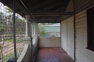 Free Standing Cat Enclosures - Outdoor Cat Enclosures - Cat Space Enclosures