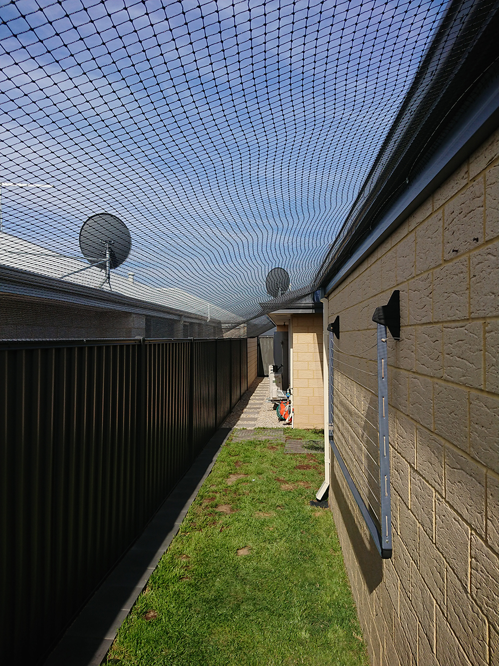 Cat Net Enclosure In Aveley. - Cat Enclosures Perth