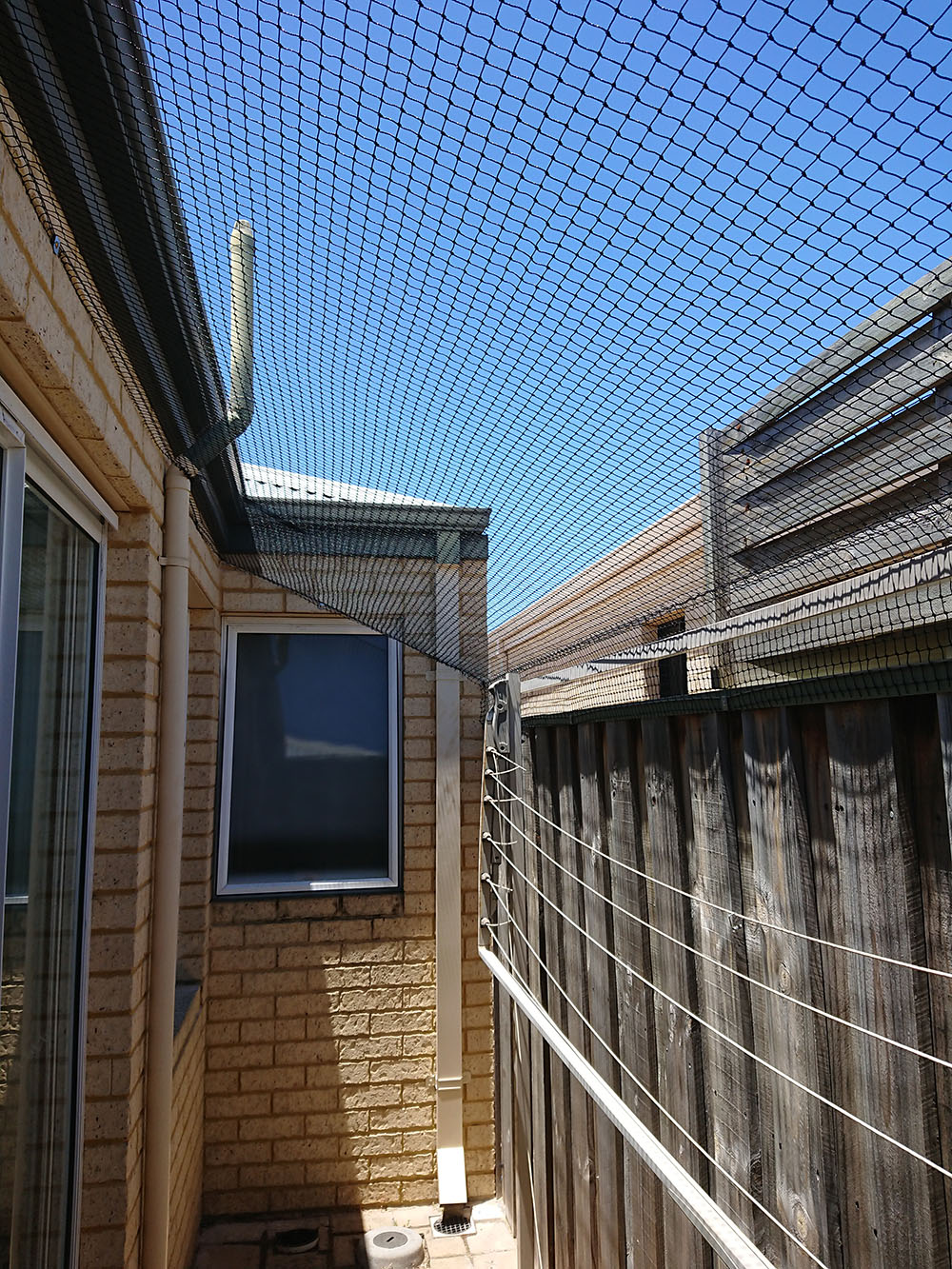 Cat Net Enclosure In Ellenbrook Cat Enclosures Perth