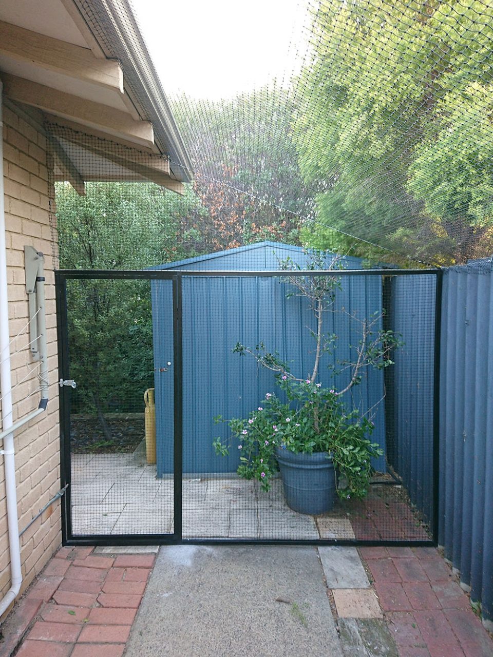 Framed Cat Enclosure in Booragoon Cat Enclosures Perth