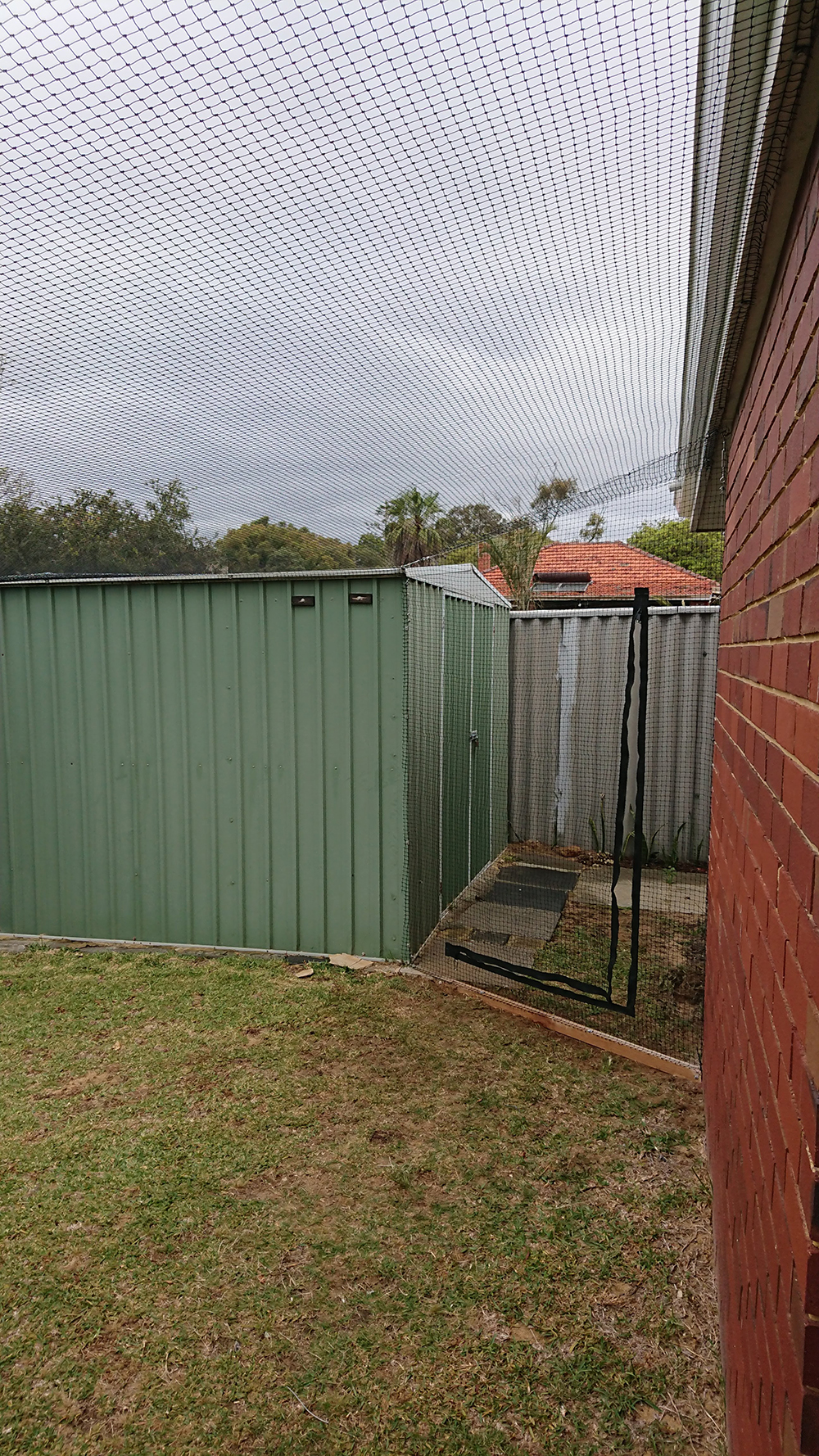 Cat Net Enclosure in Hilton Cat Enclosures Perth