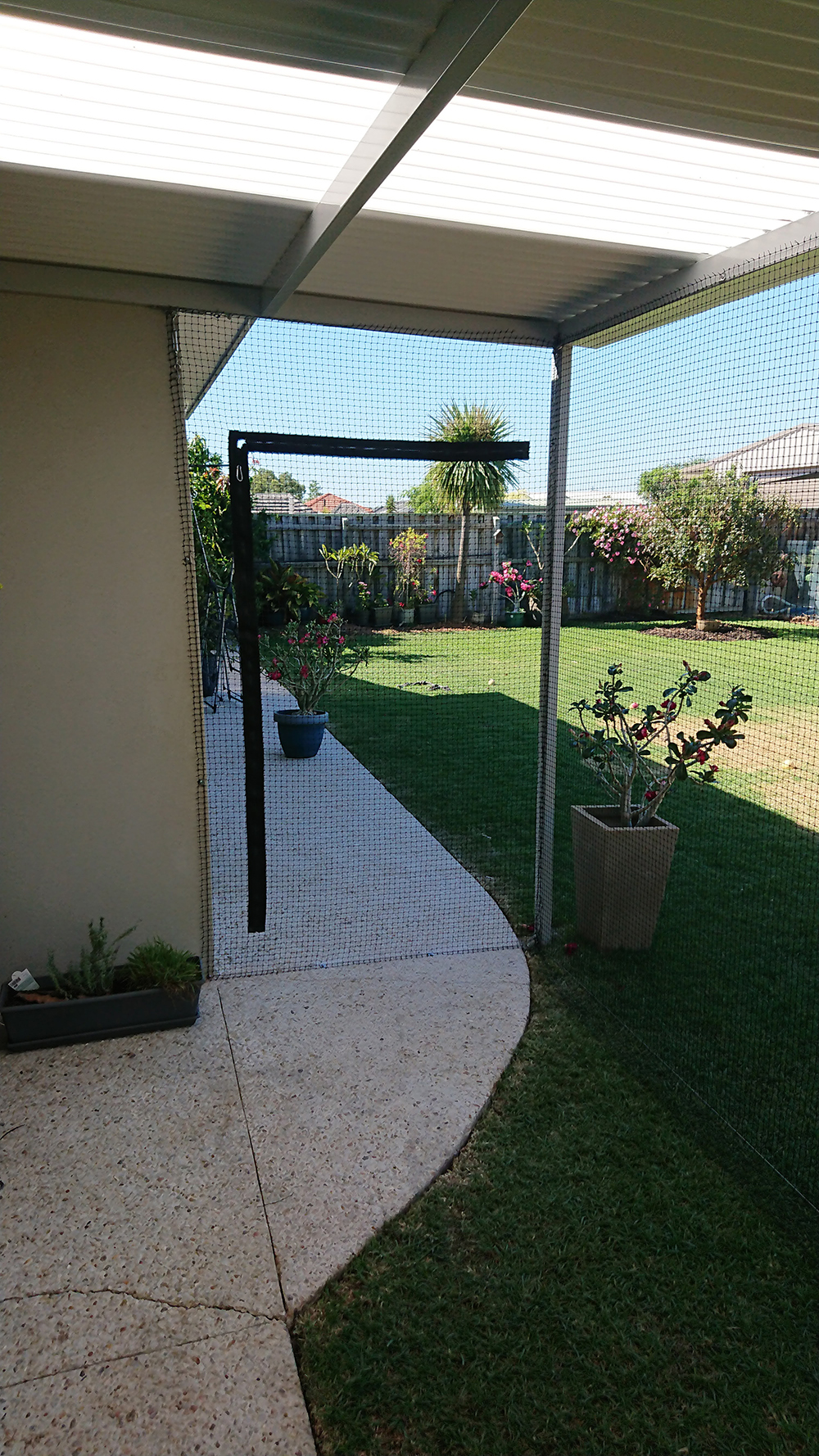 Cat Net Enclosure in The Vines Cat Enclosures Perth