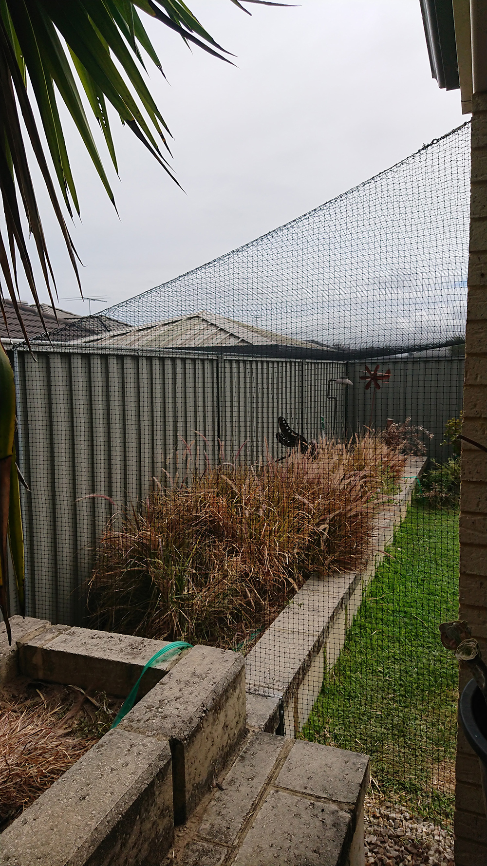 Cat Net Enclosure in Piara Waters Cat Enclosures Perth