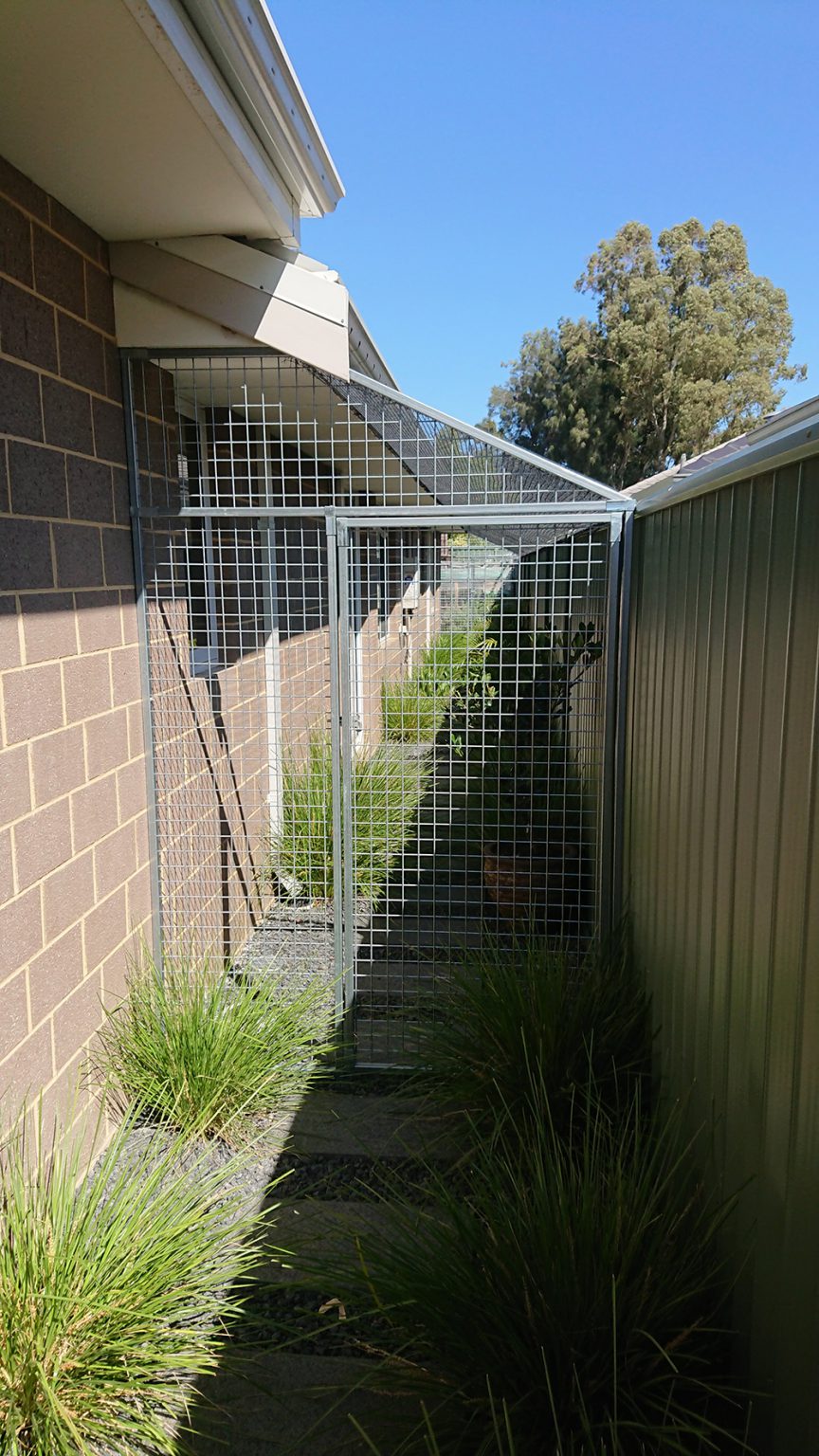 Galvanised mesh enclosure in Forrestfield Cat Enclosures Perth