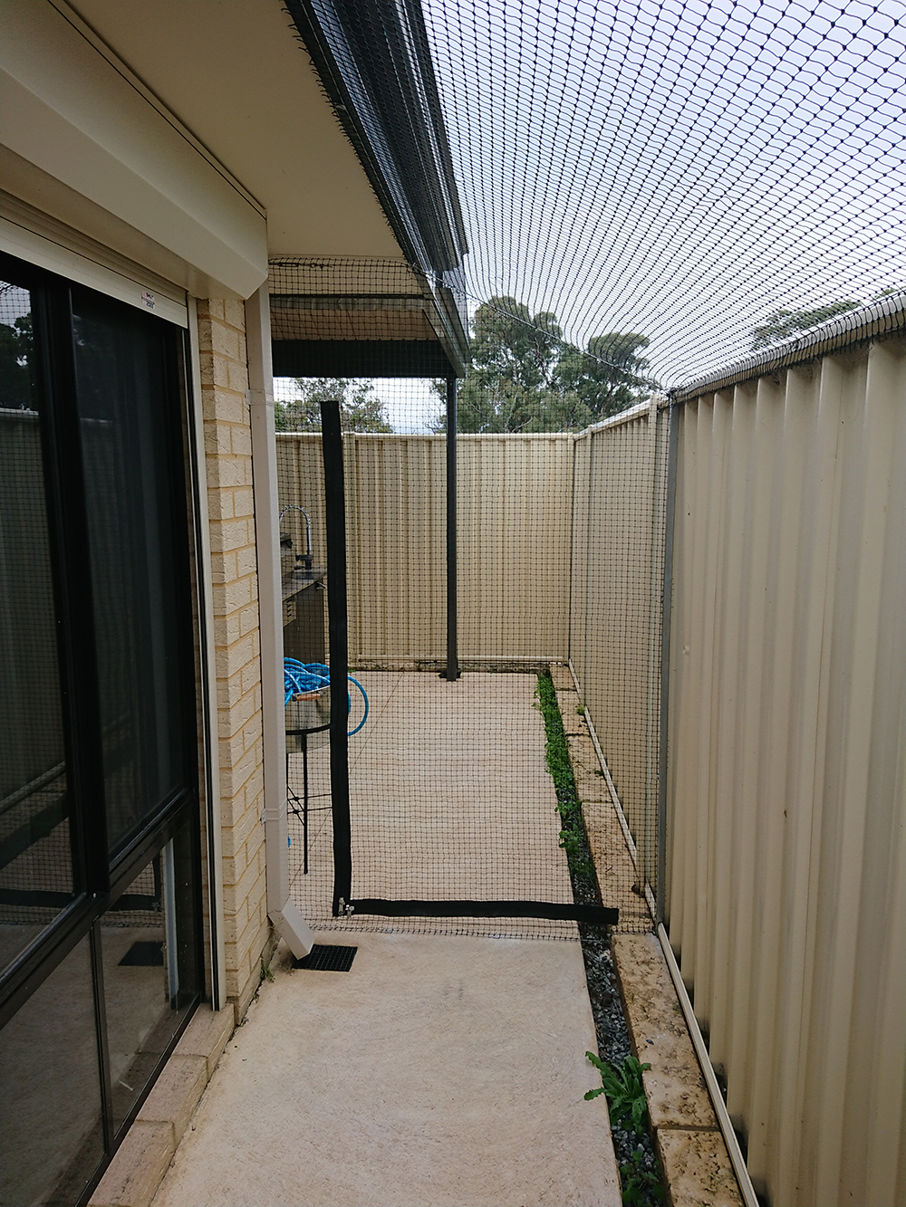 Metal Cat Enclosure In Lakelands Cat Enclosures Perth